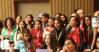 Indigenous Leaders Call for an End to Environmental Destruction at Day Two of U.N. Permanent Forum