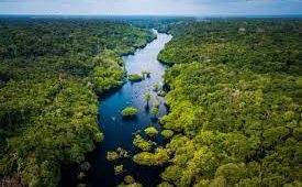 La Amazonia, territorios de esperanza. Por Alberto Acosta