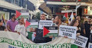 Demonstration held in Nicosia in support of Palestine