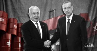 Erdogan’s double game: Praising Palestine, aiding Israel