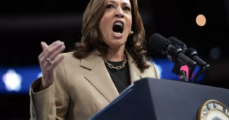 Amid ‘free Palestine’ chants, Harris tells protesters ceasefire ‘now’